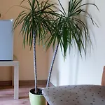 Kaszubski Dworek *